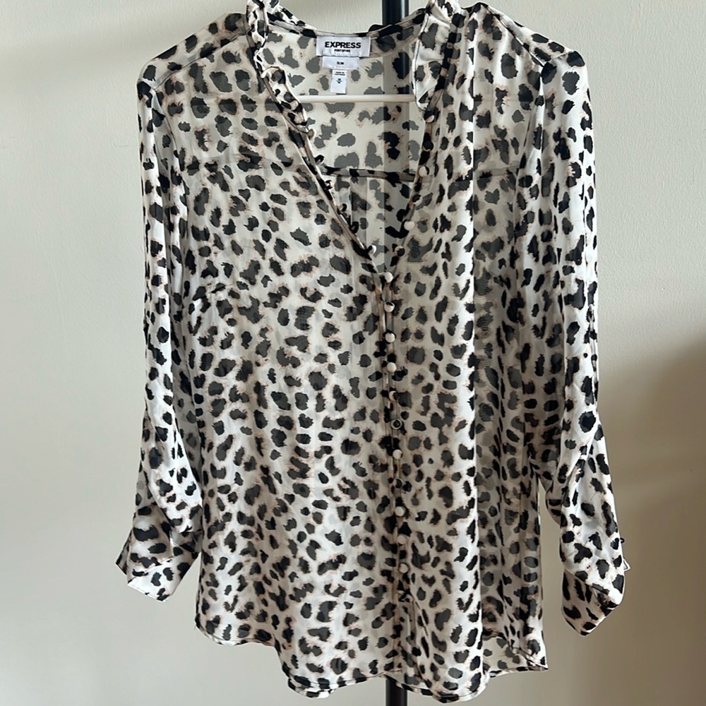 Express Blouse